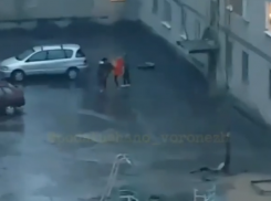 Массовое избиение девушки в Воронеже сняли на видео 