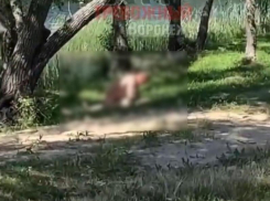 Участниками секс-перформанса у детской площадки под Воронежем оказались бомжи