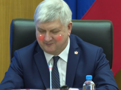  Губернатор Гусев поставил лайк своему отчету перед депутатами в Воронеже 