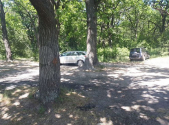 Государственную землю на берегу Усманки продают за 35 млн рублей в Воронеже