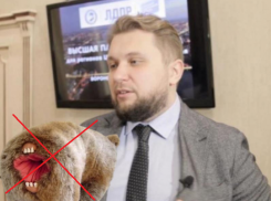 Медведя со ртом вместо ануса предложил запретить депутат Госдумы