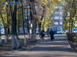 Температурный рекорд зафиксировали в Воронеже в последние дни осени
