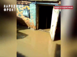 Взялись за тяпки: воронежские женщины сами чистят ливневки