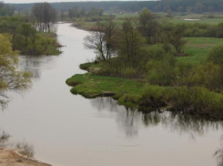 В области завершен очередной этап работ по экологическому оздоровлению водных объектов