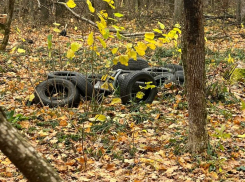 В ТОП-20 «Зеленого рейтинга» российских регионов не попала Воронежская область