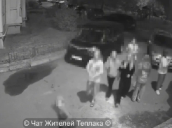Юные разбойники закидали камеру видеонаблюдения в Воронеже