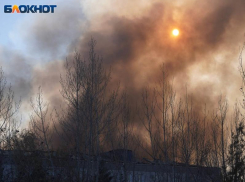 Пожар вблизи взрывоопасных объектов вызвали упавшие обломки БПЛА в Воронежской области