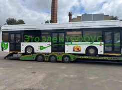 Почему эксперимент с электробусами оказался неудачным для Воронежа, рассказали в Минтрансе