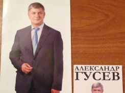 За кандидата в мэры Воронежа Александра Гусева агитируют в овощных киосках