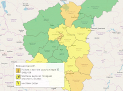 Рабочая неделя началась с грозового предупреждения в Воронежской области