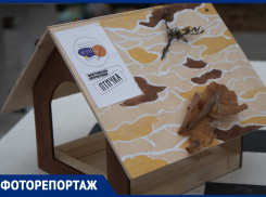 Дома для пернатых в эко-стиле создали в Воронеже