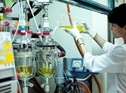 На развитие своих научных проектов президентские гранты получили трое воронежских ученых