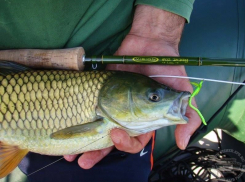 Наборы для начинающих рыбаков на 50% выросли в цене в Воронеже