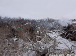 «Люди просто задыхаются», – горящий мусорный полигон отравляет жителей Воронежской области