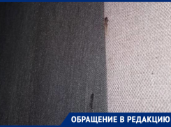 Не позволяет убить клопов: странный скандал разгорелся между соседями в Воронеже 