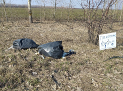 Оскорбительным памятником ответили воронежцы любителям помусорить