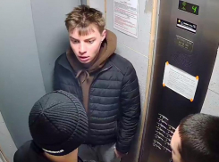 «Будем ждать, пока кого-то убьют», – компания друзей закошмарила два района в Воронеже
