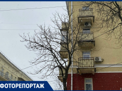 В поисках весны: как пробуждается серый Воронеж