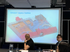 Парк ездовых собак создадут в Воронеже 