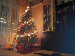 Мойте яйца: как встретить Новый год и не навредить здоровью, рассказали воронежские эксперты 