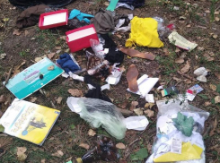 Доставку «случайно потерянных вещей» планируют организовать для некультурных воронежцев