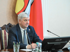 Где появятся новый индустриальный парк и особая экономическая зона под Воронежем