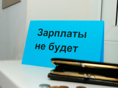 В Воронеже зафиксирован рост случаев невыплаты заработной платы