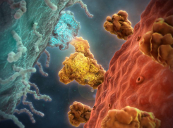 Стала известна доля воронежцев с антителами на коронавирус