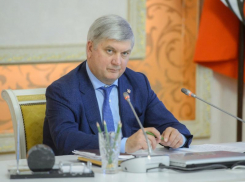 Губернатор Гусев готов выслушать предложения о смягчении ограничений в Воронежской области 