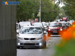 Москвичи, куряне, липчане: стал известен полный список регионов, обогнавших Воронеж по доступности бензина 