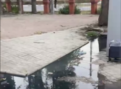 Озеро зловония заметили в Воронеже