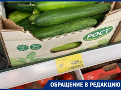 Цену на огурцы в 429 рублей за килограмм назвали лучшей в воронежском магазине