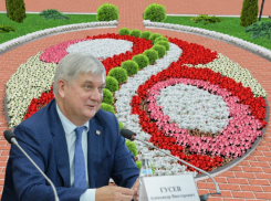  «Коктейль Водка Ред» и «Коктейль Бренди пинк»: о чём мечтают чиновники правительства Воронежской области