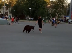 Гуляющего по улицам медведя заметили под Воронежем