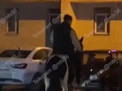 «Принца» на пятнистом коне заметили в Воронеже