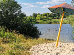 Жара до +32 поднимется к концу недели в Воронеже