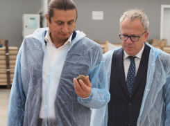 Что посеешь, то и пожнешь: Сергей Чижов оценил эффективность господдержки тепличных хозяйств