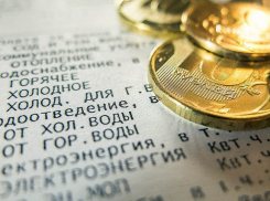 Чтобы выехать за границу, москвичка в Воронеже выплатила долгов на 605 тысяч рублей 