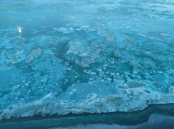 Отвратительную причину вони нашли в Воронежском водохранилище