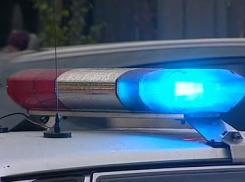 В Воронежской области сын убил пожилую мать из-за денег на выпивку