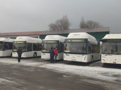 Новые автобусы большого класса вышли на линии в Воронеже