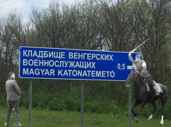 Новый знак поклонения оккупантам увидел в аншлагах воронежский общественник