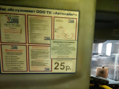 О повышении стоимости проезда сообщили жители Воронежа