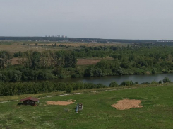 Общественники бьют тревогу из-за захвата Дона частниками