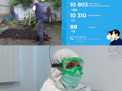 Коронавирус в Воронеже 27 июля: еще 89 зараженных, дорожающий бензин и голая самоизоляция