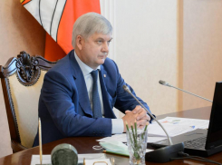 Аналитика об Александре Гусеве обойдется налогоплательщикам в 85 тысяч рублей