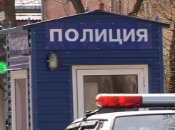 В Воронежской области буйный мужчина ударил полицейского
