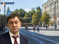 Облдума Нетёсова заплатит, чтобы послушать о себе много хорошего на улицах Воронежа