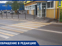 Глумливую «зебру» заметили в Воронеже 