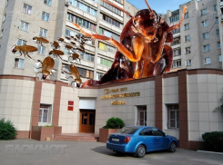 Жильцы воронежского ЖК боятся скорого пришествия к ним Тараканища